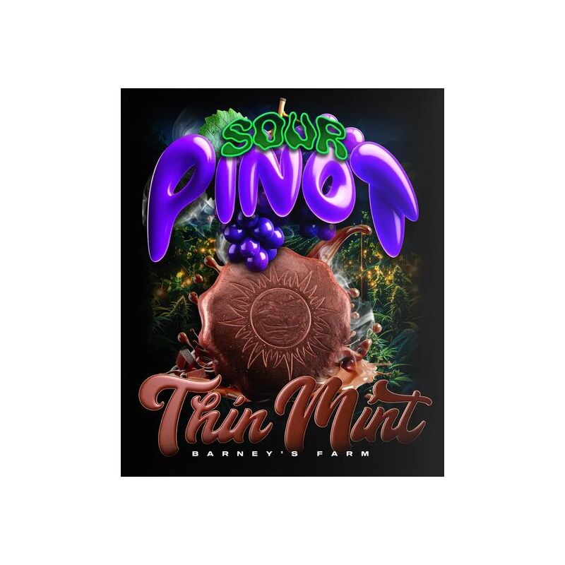 Thin Mint x Sour Pinot auto, Фасовка: 5